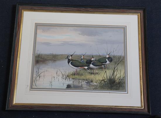 John Cyril Harrison (1898-1985) Lapwing by waters edge 11 x 15in.